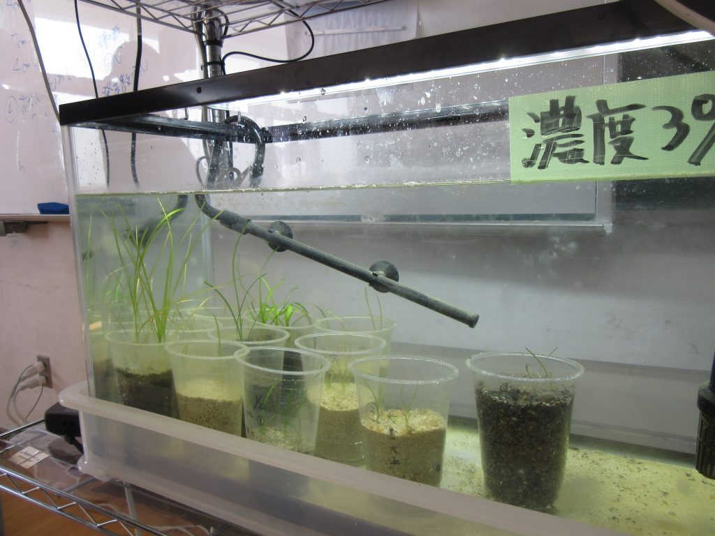 008_地球を守ろう！未来を守ろう！海の森プロジェクト