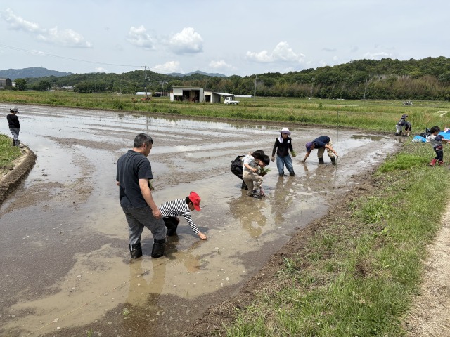 071_「守り残したい環境 創りたい未来」びわこ体験活動を通して考えたこと