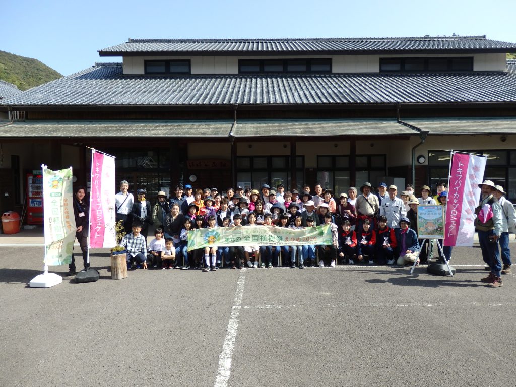 010_トキワバイカツツジの光環境の解析と生育条件の探求