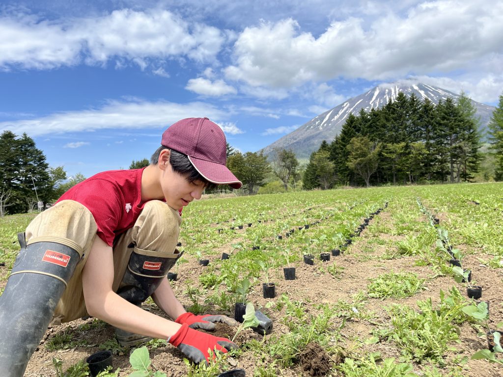 020_リジェネラティブ農業の実践！～マメ科緑肥作物を用いた不耕起栽培～