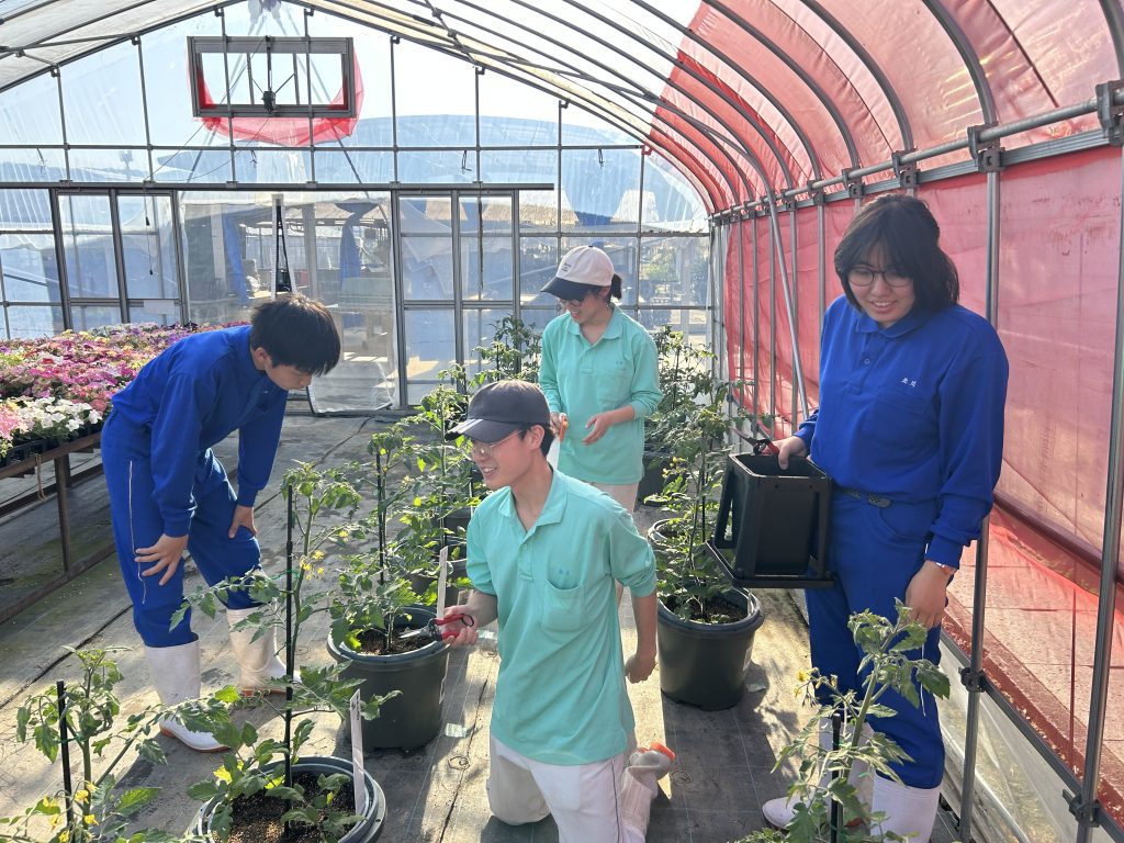 046_地球の未来に緑と笑顔をいつまでも〜循環資源MAPで持続的な農業を目指して〜