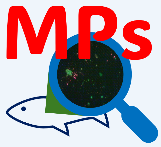 017_高校生でも可能なMPs簡易検出方法の確立と検証