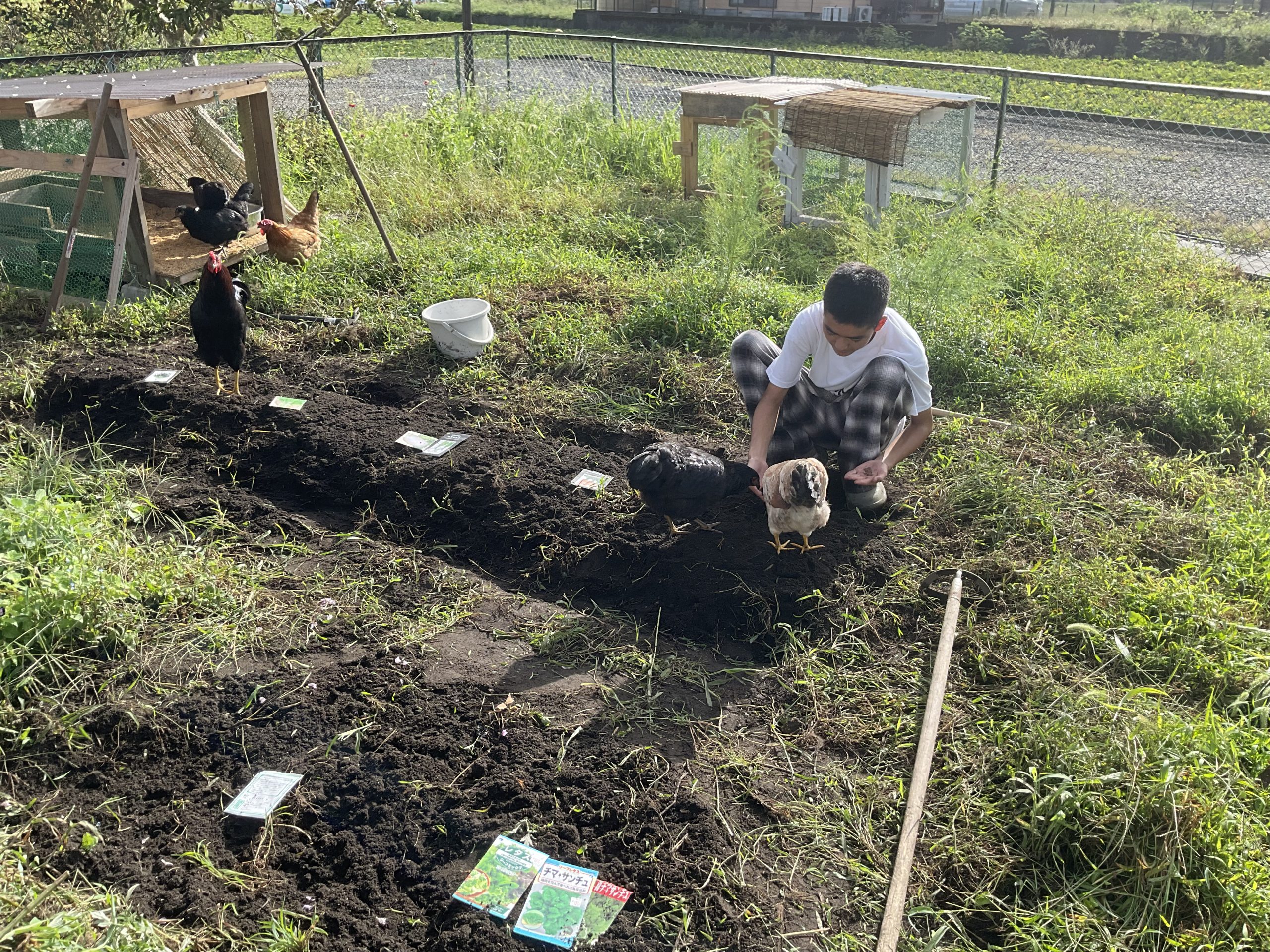 056_ニワトリと目指したいサーキュラーな社会