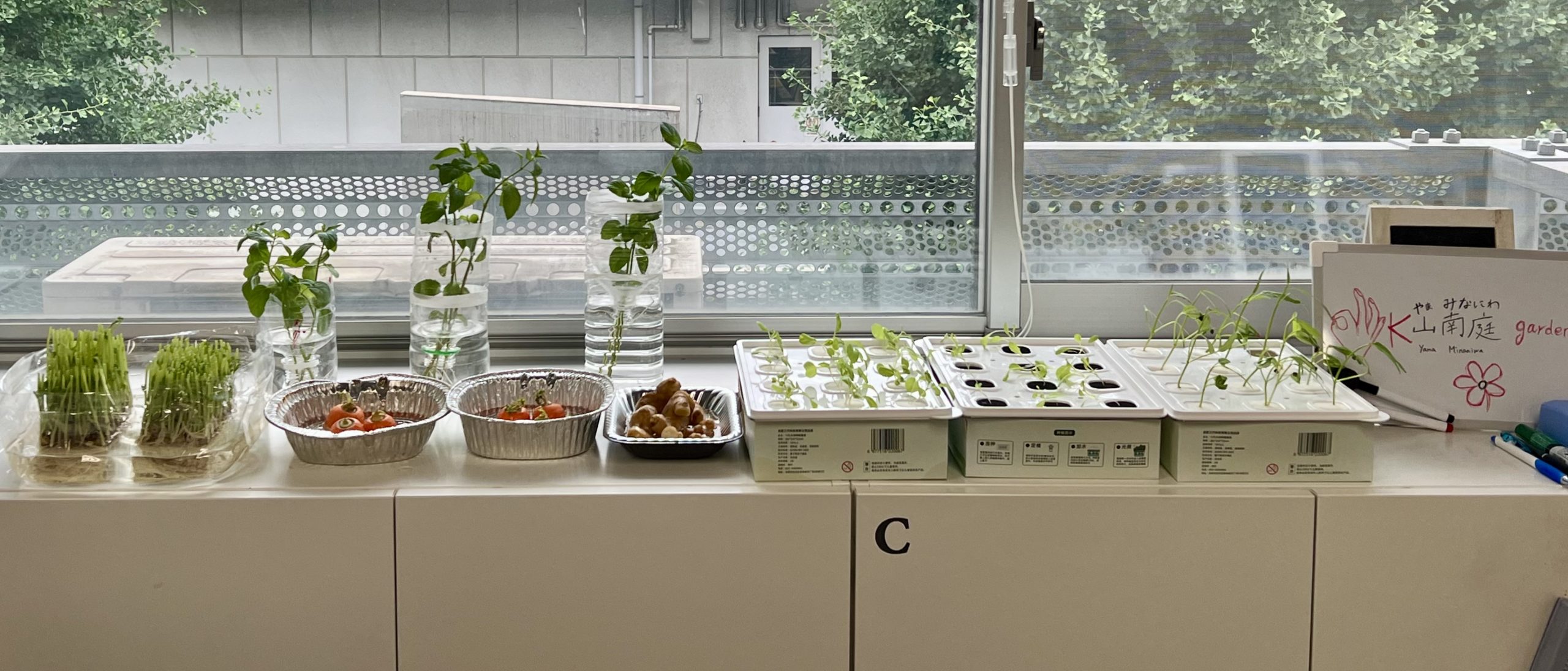 027_共に育てる、共に生きる： 多文化ガーデンから未来へ