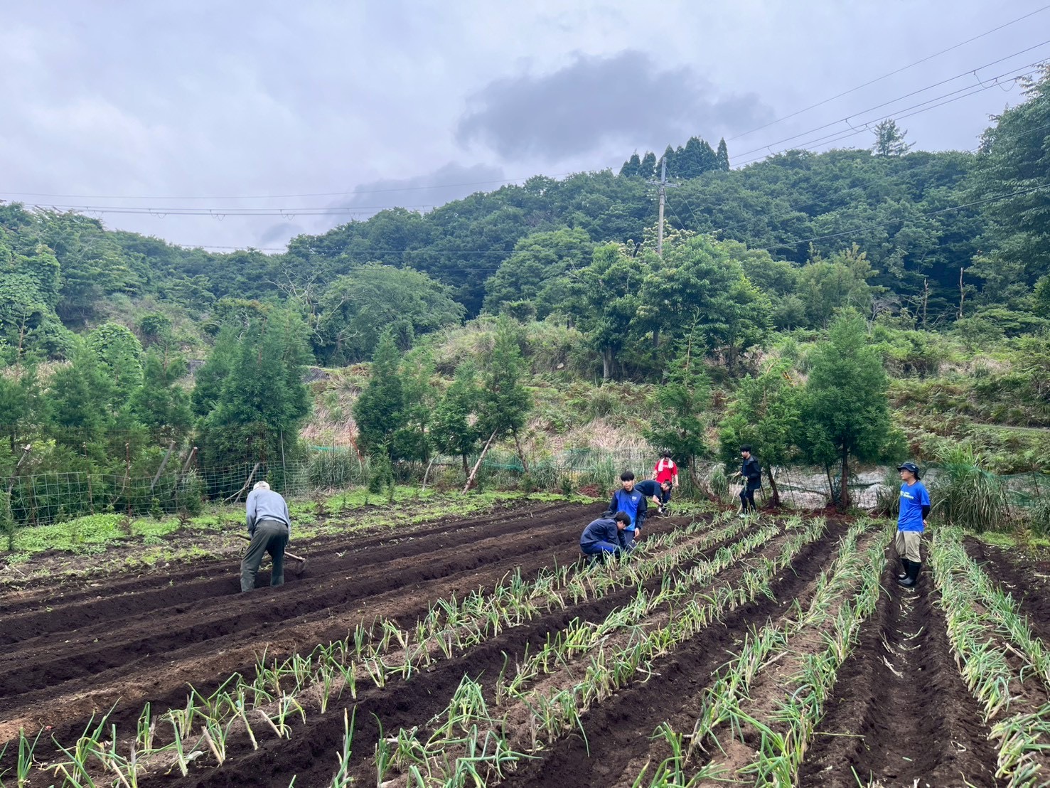 活動の背景・目的