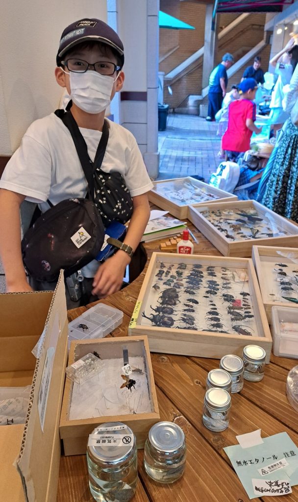 128_100年先も残る昆虫標本をつくりたい